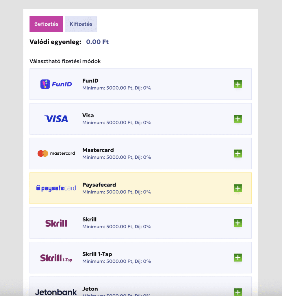 RTBet Zahlungsmethoden